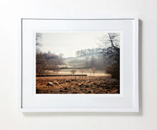 Load image into Gallery viewer, Elterwater Valley with Sheep, Lake District (Limited Edition)