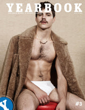 Load image into Gallery viewer, Yearbook Fanzine eBook Bundle