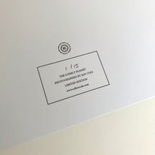 Load image into Gallery viewer, The Lonely Planet by Ian Cole (Limited Edition)