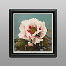 Load image into Gallery viewer, Tree Peony (1896) by Kazumasa Ogawa