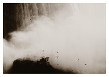 Load image into Gallery viewer, The Birds, Niagara Falls (Limited Edition)