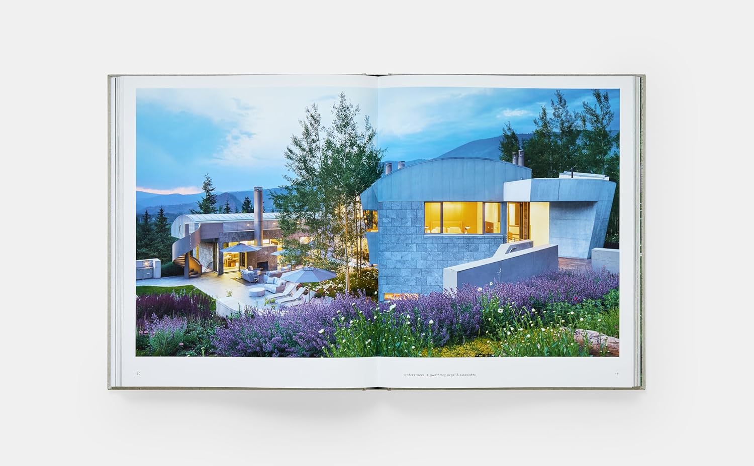 Private Aspen: Modernism in the Mountains
