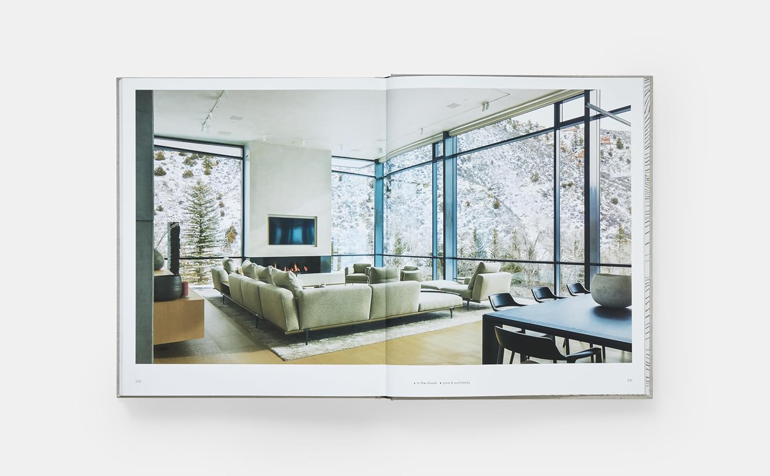 Private Aspen: Modernism in the Mountains