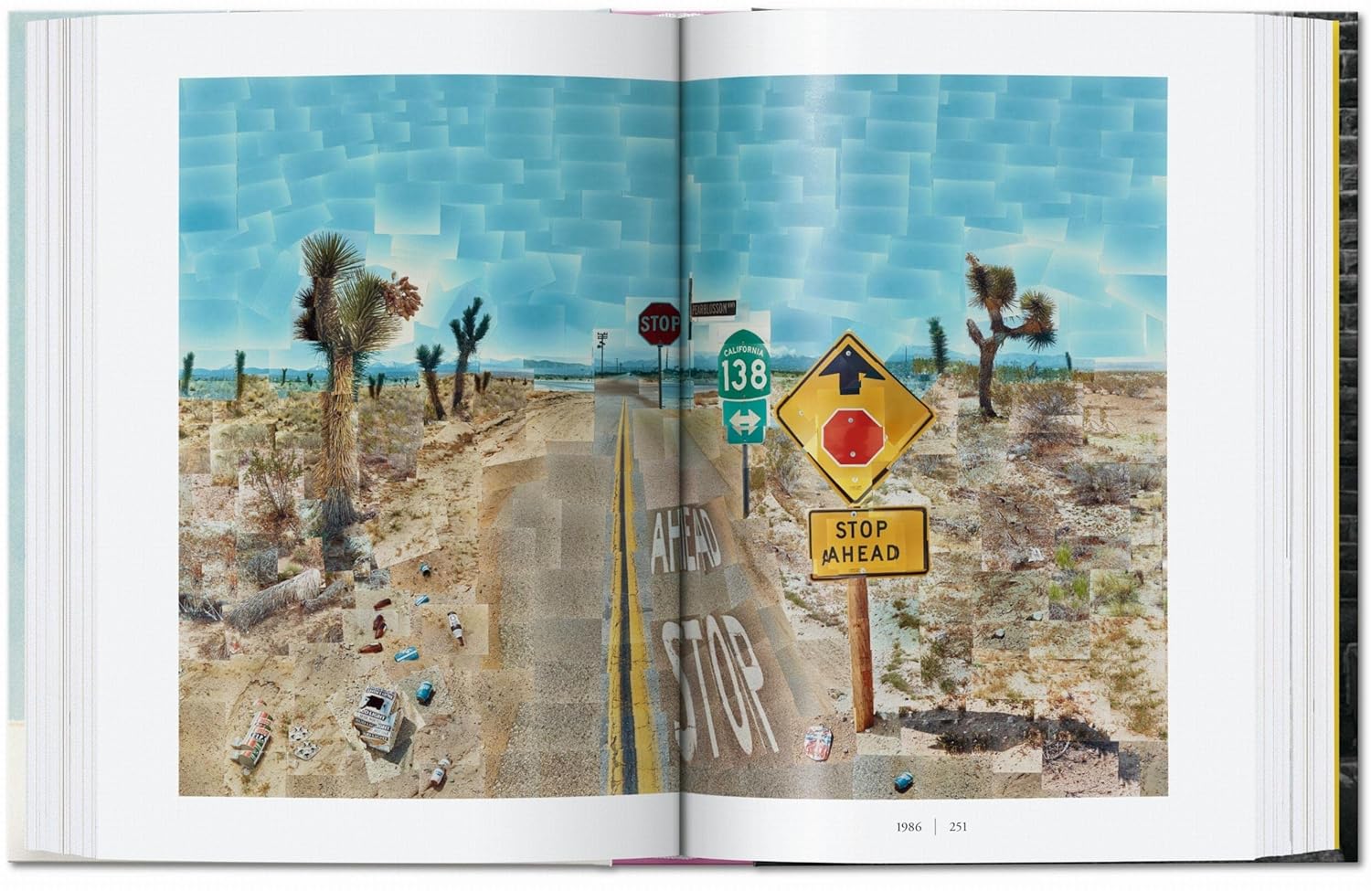 David Hockney: A Chronology — 45th Anniversary Edition