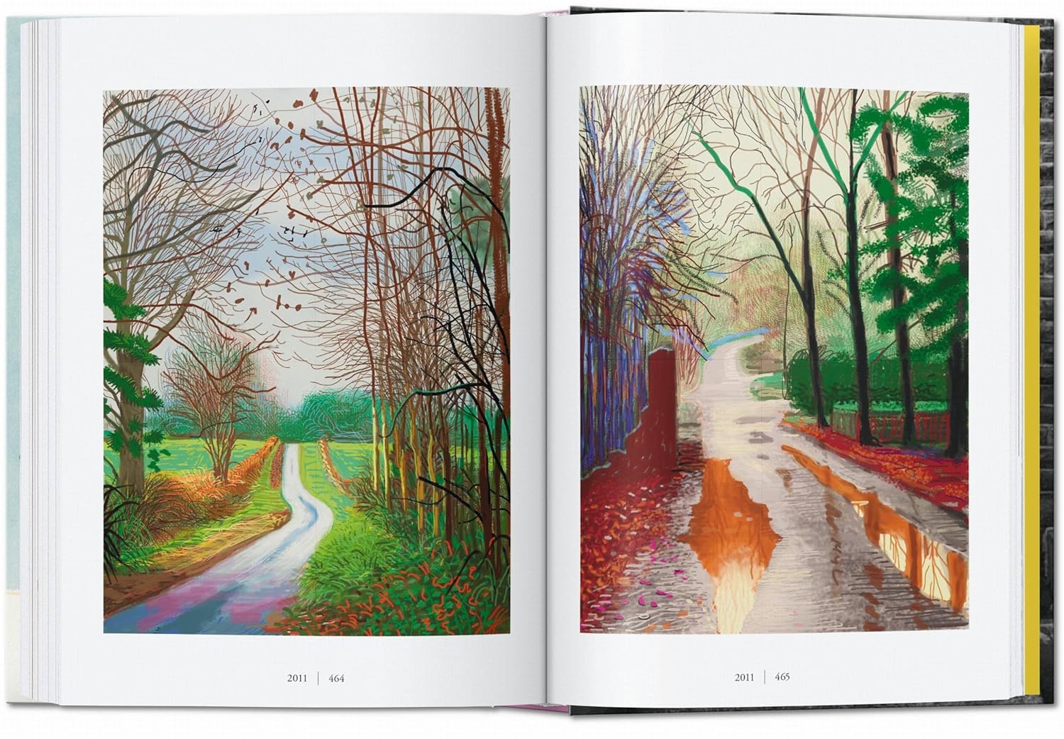 David Hockney: A Chronology — 45th Anniversary Edition