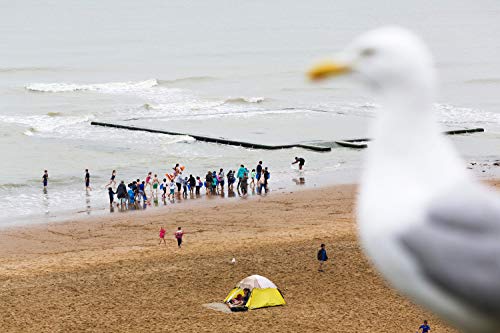 Martin Parr: Beach Therapy