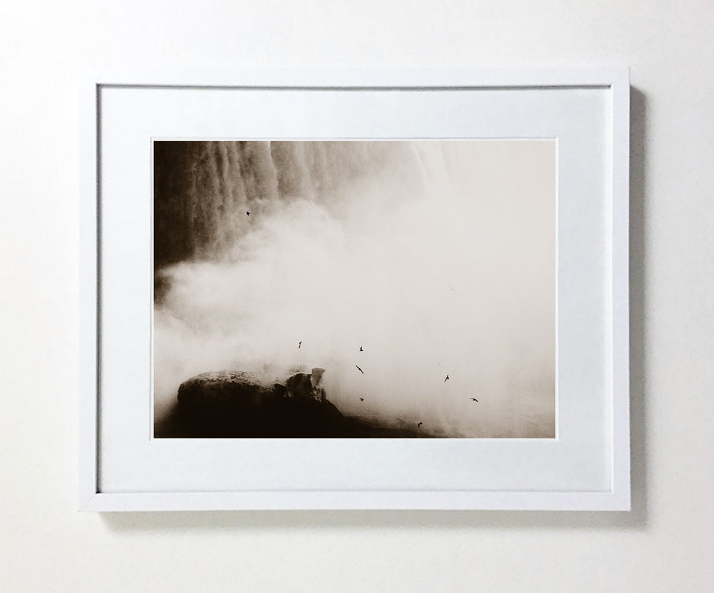 The Birds, Niagara Falls (Limited Edition)