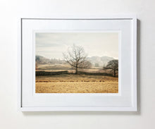 Load image into Gallery viewer, Tree Of Life, Elterwater, Lake District (Limited Edition)