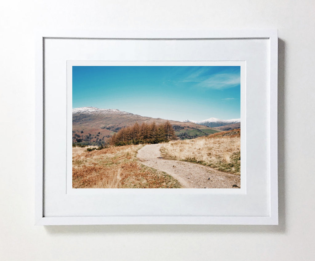 Loughrigg Fell #5 (Ltd Edition)