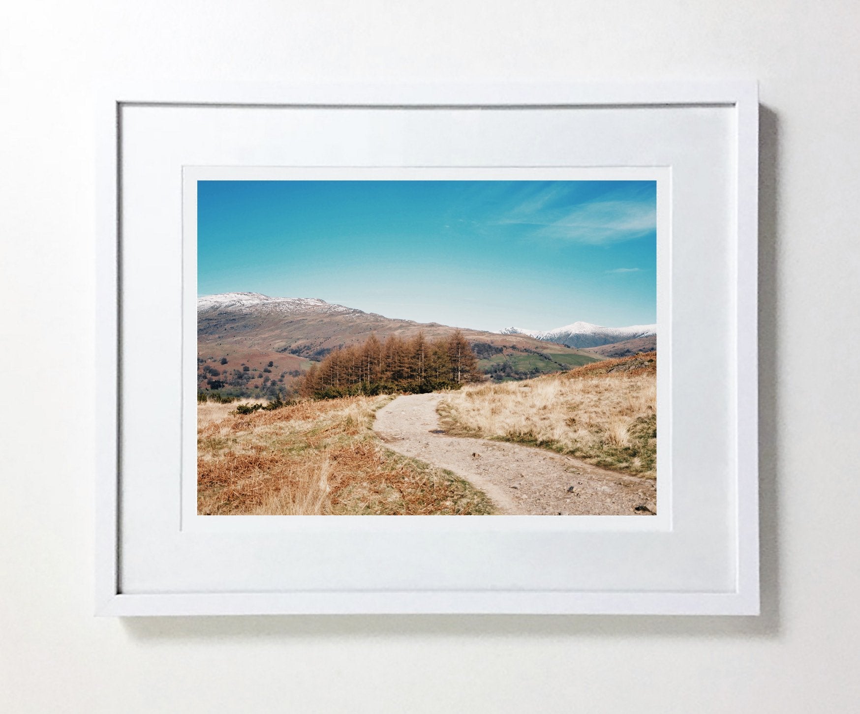 Loughrigg Fell #5 (Ltd Edition)