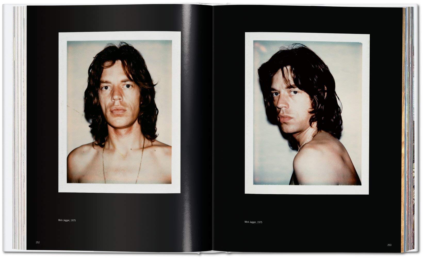Andy Warhol. Polaroids by Richard B. Woodward (Hardcover)