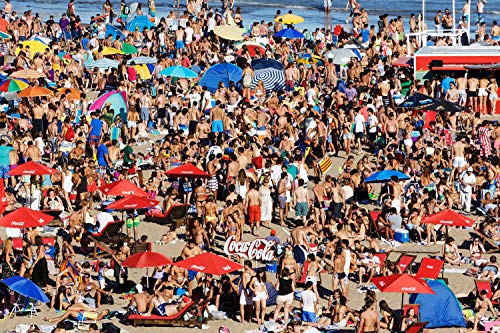 Martin Parr: Beach Therapy