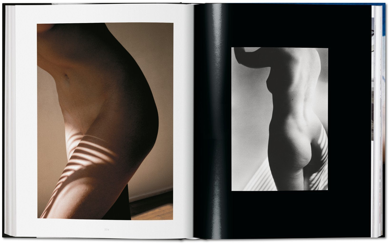Ralph Gibson: Nude (Hardcover)