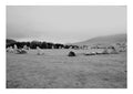 Stone Circle, Castlerigg (Ltd Edition)
