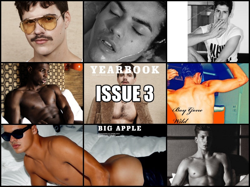 Yearbook Fanzine eBook Bundle
