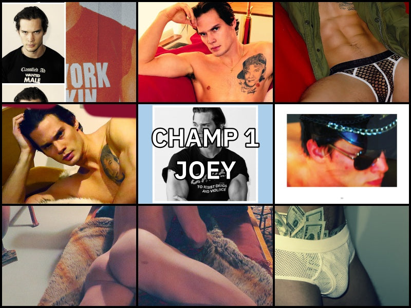 The Champ eBook Bundle