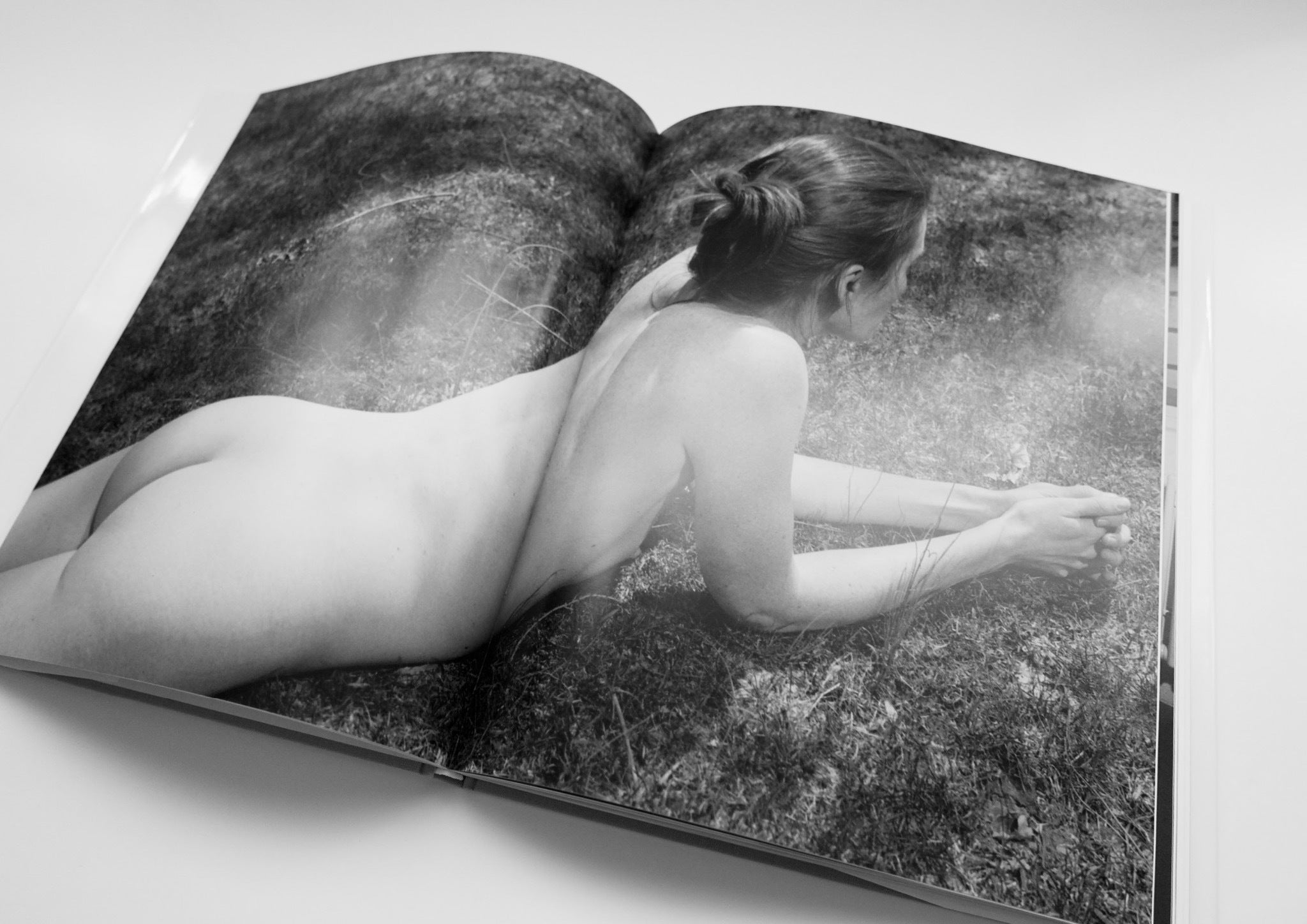 Collier Schorr: Forests and Fields Vol 1 Neighbors