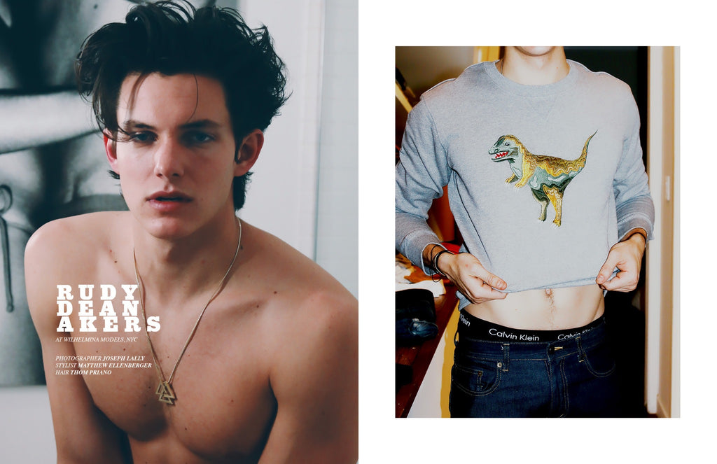 American Youth by Joseph Lally