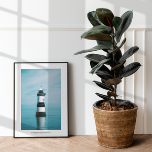 Trwyn Du Lighthouse, Penmon Point, Anglesey by Ian Cole (Limited Edition)