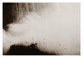 The Birds, Niagara Falls (Limited Edition)