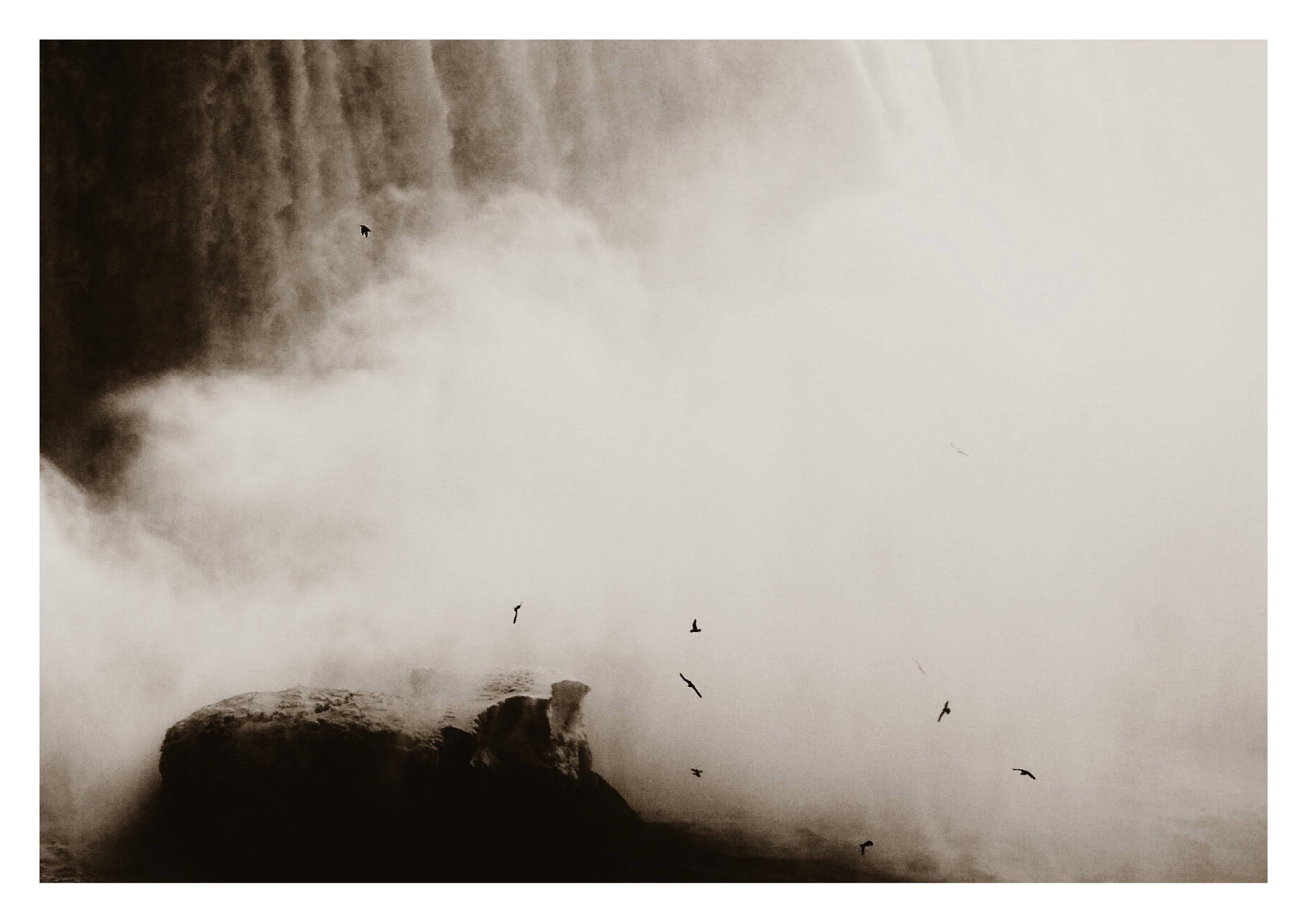 The Birds, Niagara Falls (Limited Edition)
